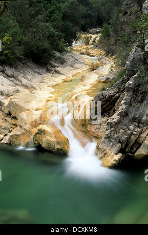 Arroyo de las Truchas , Vallée d'riverm Borosa Parc Naturel de Cazorla, Segura y las Villas, Jaén, Espagne Banque D'Images