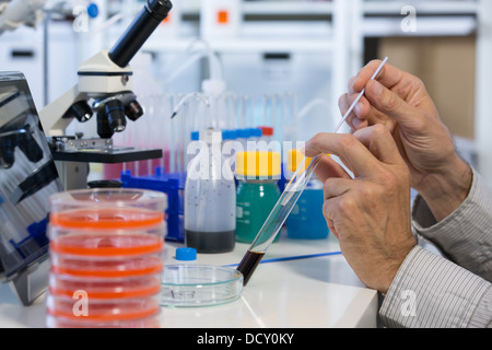 Laboratoire chimique. Contrôler la quantité de nitrates, pesticides et herbicides Banque D'Images