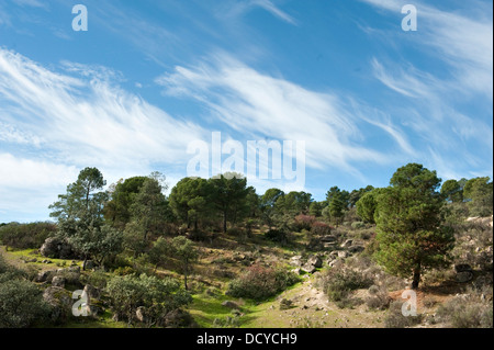 Paysage du Parc Naturel de la Sierra de Andujar Espagne Banque D'Images