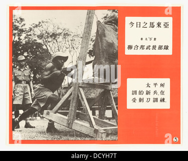 Un ensemble d'affiches photographiques intitulé 'Malaya Today' donne un aperçu du climat politique et social en Malaisie au cours du XXe siècle, en mettant l'accent sur les principaux développements dans la région. Banque D'Images