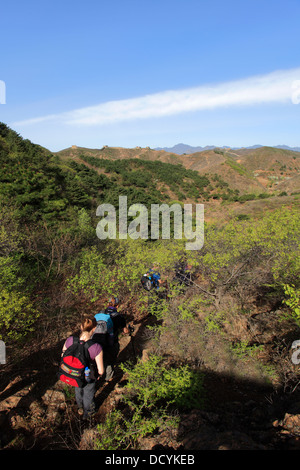 Les promeneurs sur la Grande Muraille de Chine près de Jinshanling, village Provence Beijing, Chine, Asie. Banque D'Images