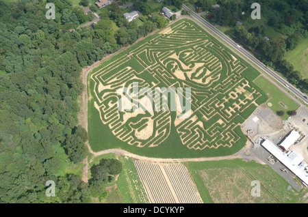 Vue aérienne du labyrinthe de maïs à Chester, New Jersey Banque D'Images