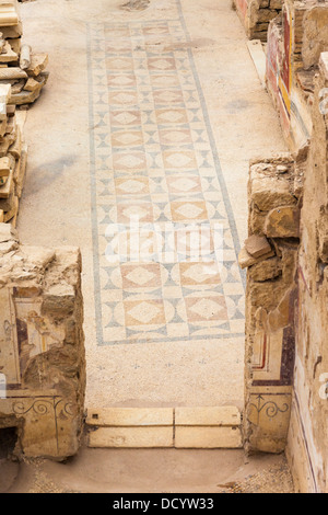 Mosaïque à motifs sur le sol d'un couloir dans une des maisons, Éphèse, Turquie Banque D'Images