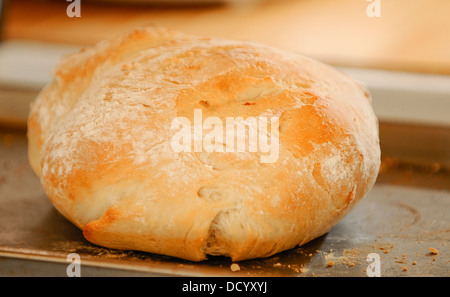 Un frais hors du four, miche de pain au levain. Banque D'Images