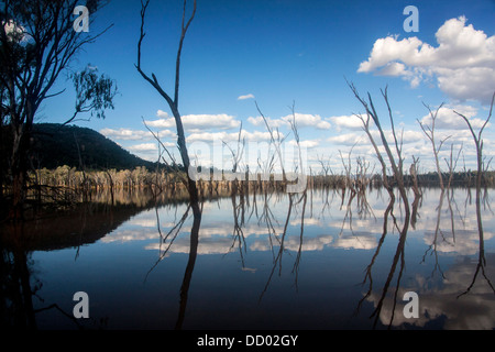 Les arbres morts encore submergée dans les eaux du lac Nuga Nuga Arcadia Parc National Valley Rolleston Queensland Australie Banque D'Images