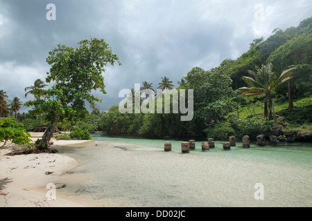 Caraïbes - République Dominicaine - Samana, province nord-est de l'île, paradis naturel Banque D'Images