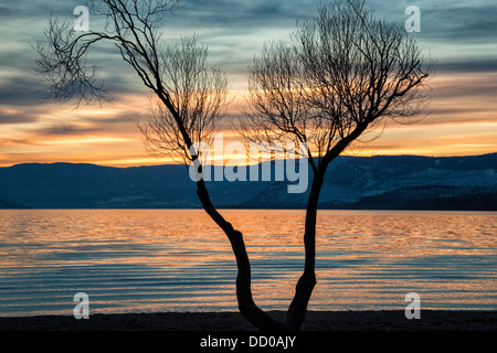 Coucher de soleil sur le lac Okanagan, Kelowna, Colombie-Britannique, Canada. Banque D'Images