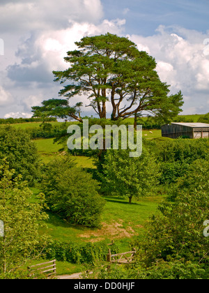 Molland, Devon, Angleterre Banque D'Images