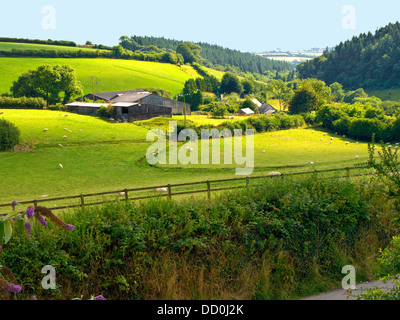 Molland, Devon, Angleterre Banque D'Images