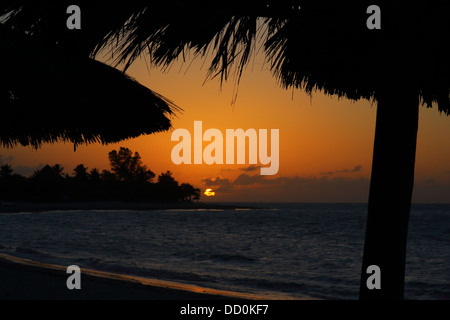 Coucher du soleil des Caraïbes, scène de plage avec des parasols de plage dans sillohette. Banque D'Images