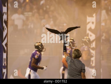 Baltimore, Maryland, USA. 22 août, 2013. Les Baltimore Ravens arrivent sur le terrain pour le match d'avant saison avec les Panthers au stade M and T Bank à Baltimore, Maryland le 22 août 2013. Carolina défait Baltimore 34-27. Crédit : Scott Serio/Eclipse/ZUMAPRESS.com/Alamy Live News Banque D'Images