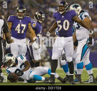 Baltimore, Maryland, USA. 22 août, 2013. Baltimore Raven's Albert McClellan, (LB, 50), célèbre l'un s'attaquer à une perte au cours de la pré-saison match entre les Panthers et les Ravens de Baltimore au stade M and T Bank à Baltimore, Maryland le 22 août 2013. Carolina défait Baltimore 34-27. Crédit : Scott Serio/Eclipse/ZUMAPRESS.com/Alamy Live News Banque D'Images