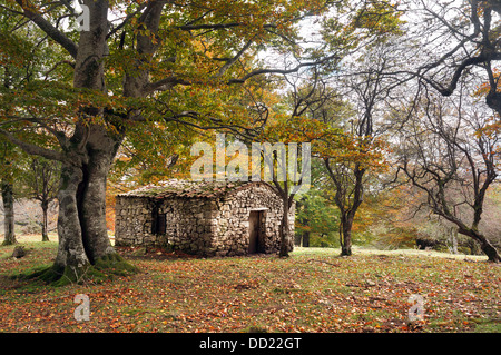 Chalet en pierre en forêt d'automne Banque D'Images