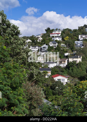 Dh WELLINGTON NEW ZEALAND maisons résidentielles suburbaines Hillside Banque D'Images