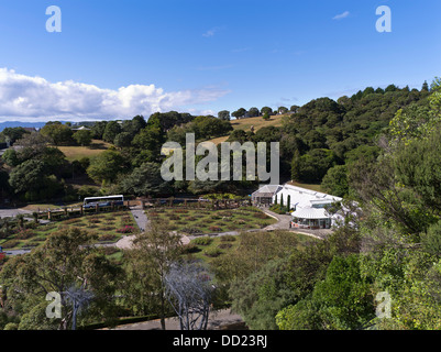 Dh Le Jardin botanique de WELLINGTON WELLINGTON NEW ZEALAND Lady Norwood Rose Garden Begonia Chambre serre Banque D'Images