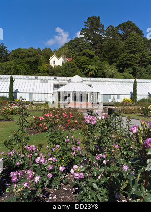 Dh Le Jardin botanique de WELLINGTON WELLINGTON NEW ZEALAND Rosier Lady Norwood Rose Garden Begonia Chambre serre Banque D'Images