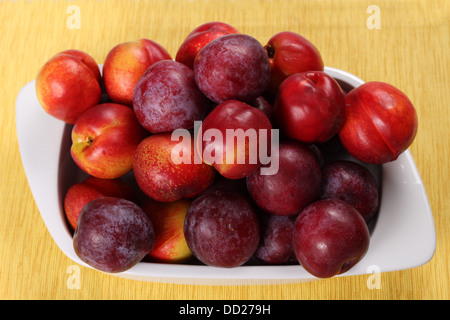 Les nectarines et les prunes dans un plat de céramique. Banque D'Images