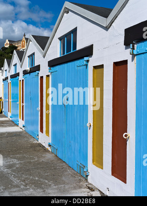 Dh Port Lambton WELLINGTON NEW ZEALAND portes colorées boatshed St Quay Clyde Marina bateau Monastère Gerards shed Banque D'Images