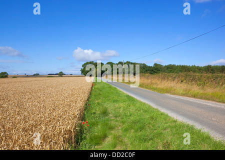 Une petite route qui traverse les champs de blé pittoresque dans le Yorkshire Wolds Angleterre sous un ciel d'été bleu Banque D'Images