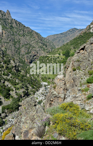 Paysage de montagne le long de Scala di Santa Regina road, Niolo, vallée de montagnes centrale, Corse, France Banque D'Images