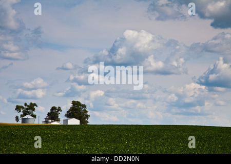 Image abstraite des bâtiments agricoles en Iowa, USA Banque D'Images