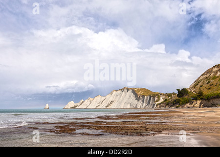 Plage de Cape Kidnappers, Hawke's Bay, Nouvelle-Zélande, célèbre pour sa colonie de fou de bassan. Banque D'Images