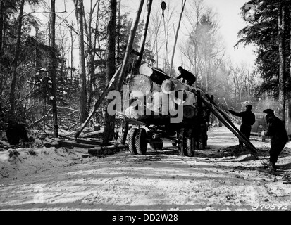 Les travailleurs chargent les grumes sur un camion, qui fait partie du processus de transport de l'industrie du bois, transportant les grumes de la forêt vers les usines de transformation ou les marchés pour la vente. Banque D'Images