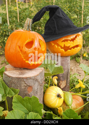 Jack-o-lantern citrouilles dans le jardin Banque D'Images