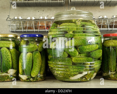 Les concombres vert marinés dans des bocaux en verre sur un comptoir de cuisine Banque D'Images