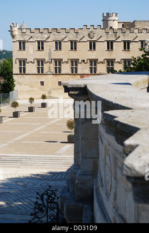 Petit Palais, musée d'art sur la place principale de la ville d'Avignon, Provence, France Banque D'Images