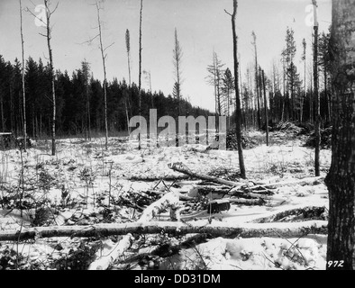 Cette photographie montre les conséquences de l'exploitation forestière dans une zone découpée à blanc, où des arbres ont été enlevés. L'image met en évidence l'impact de la déforestation sur le paysage. Banque D'Images
