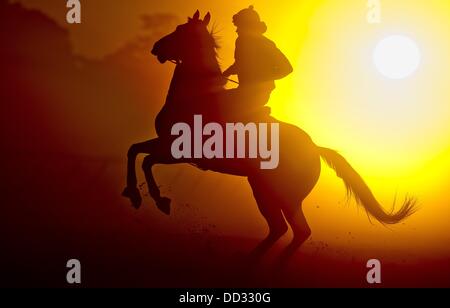 24 août 2013 - Saratoga Springs, New York, États-Unis - Chevaux exercer au lever du soleil le matin le brouillard sur la piste de formation sur l'Oklahoma Saratoga Race Course en préparation pour le travers Stakes jour. (Crédit Image : © Scott Serio/Eclipse/ZUMAPRESS.com) Banque D'Images