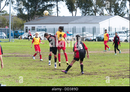 U15B les joueurs de football de sauter à la tête de la balle, Le Cap, Afrique du Sud Banque D'Images