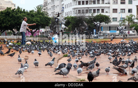 Pigeons d'alimentation de l'homme à Casablanca, Maroc Banque D'Images