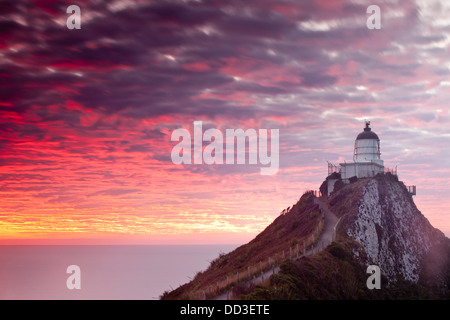 Nugget point cape dans Kaimataitai, île du Sud, Nouvelle-Zélande Banque D'Images