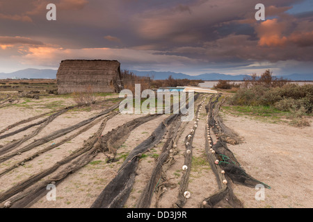 Tôt le matin à l'Etang de Canet Saint Nazaire, Pyrénées-Orientales, Languedoc-Roussillon, France Banque D'Images