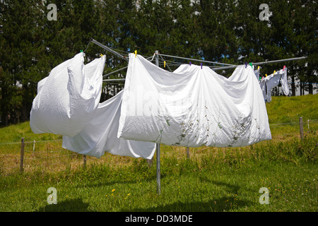 Un ensemble de draps blancs, blanchisserie, pendaison, séchage, tourbillonnent, dans le vent sur une corde à linge rotatif à la campagne. Banque D'Images