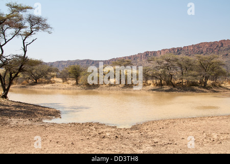 Un point d'eau naturel africain en Namibie Banque D'Images