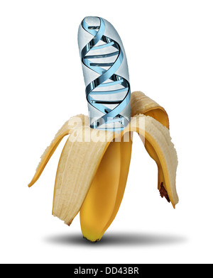 Les aliments génétiquement modifiés à l'aide du concept de la biotechnologie et de la génétique biologie manipulation par la science comme une banane avec pelé Banque D'Images