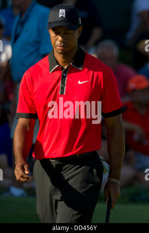 Jersey City, New Jersey, USA. Août 25, 2013. 25 août 2013 : Tiger Woods semble déçu au cours de la ronde finale de l'Indice Barclays Fed Ex Champion à Liberty National Golf Course à Jersey City, NEW JERSEY Kostas Lymperopoulos/csm/Alamy Live News Banque D'Images