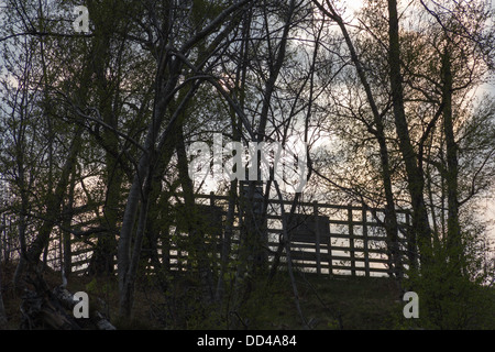 Arbres devant une barrière en bois sur un niveau plus élevé. Clôture en bois contrôle l'accès à cette section de terre, dans les Highlands écossais Banque D'Images