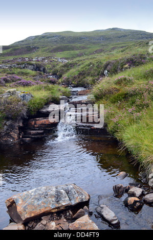 Une série de petites cascades qui se jettent dans le Loch Accueil de la Scottish écossais Beinn Enaiglair montagne montagnes (un Corbett ). Banque D'Images