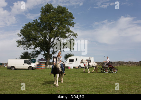 Un jeune voyageur fait l'essai d'une nouvelle à l'ancien poney Priddy annuel (moutons et chevaux) juste à Somerset, Angleterre. Banque D'Images