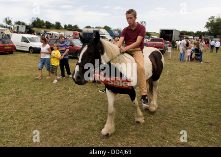 Un adertises voyageur adolescentes un poney à l'ancienne et des moutons (Priddy annuel horse) juste dans le Somerset, Angleterre. Banque D'Images