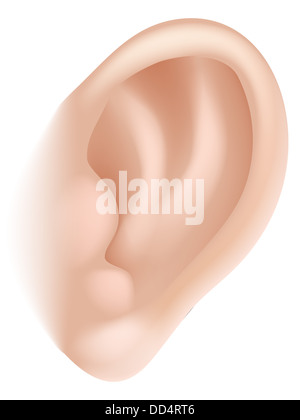 Une illustration d'une partie du corps, l'oreille humaine pourrait représenter audience dans les cinq sens Banque D'Images