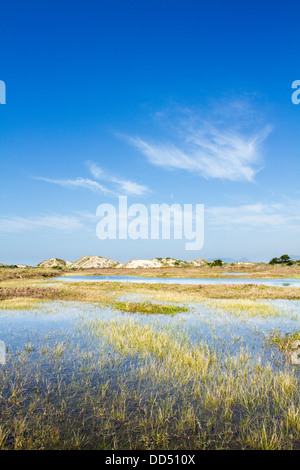 Les dunes de Joaquina Plage. Florianopolis, Santa Catarina, Brésil. Banque D'Images