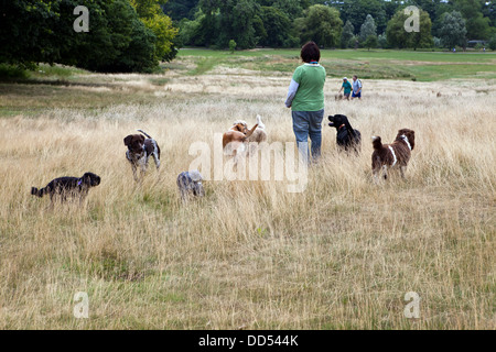 Promenade de chiens sur Hampstead Heath Banque D'Images