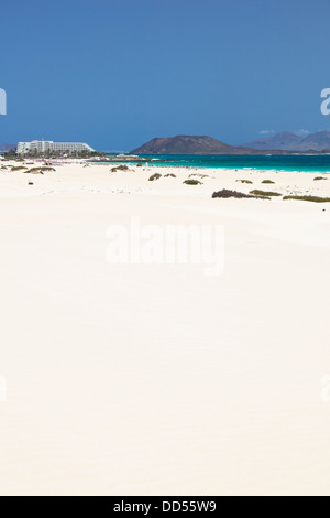 Playa de las Dunas de Corralejo, Fuerteventura, une plage de sable blanc parfait avec de l'eau turquoise et bleu ciel. Banque D'Images