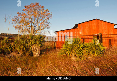 Grange rouge dans le Texas Hill Country, USA. Banque D'Images