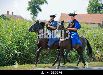 "Csikos hongrois traditionnel' lors d'une fête du cheval dans la ville hongroise de Devavanya Août 2013 Banque D'Images